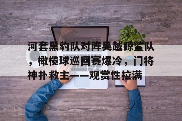 河套黑豹队对阵吴越鲸鲨队，橄榄球巡回赛爆冷，门将神扑救主——观赏性拉满的简单介绍