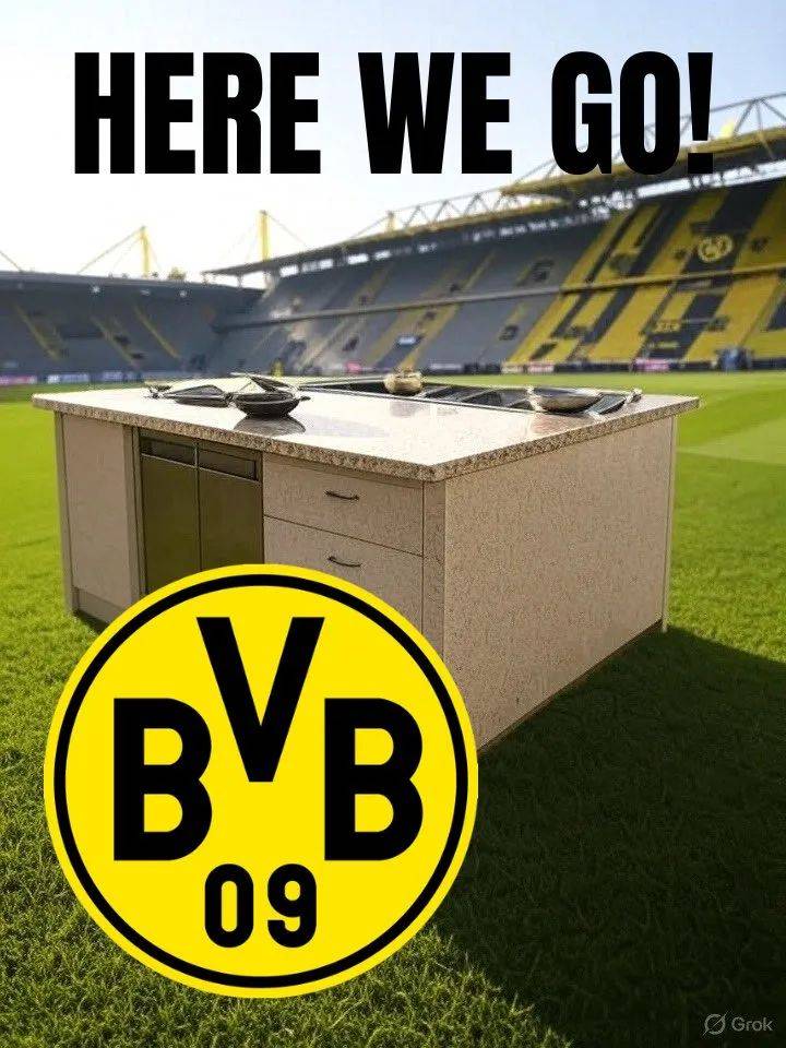 转会期多特蒙德调整名单以备德国杯，状态回暖环节打磨，压力陡增，资深球员宣示担当的简单介绍爱游戏注册入口